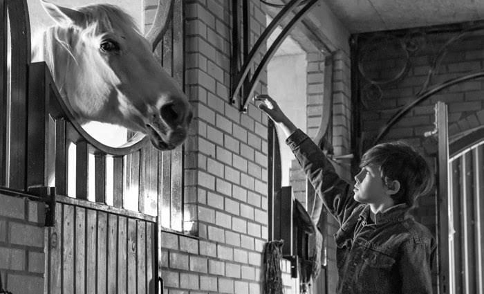 Stable boy