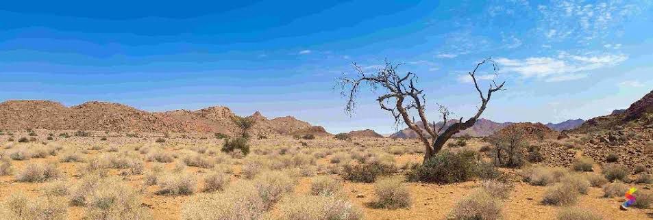 Barren