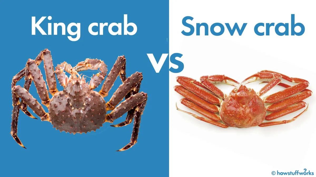 King Crab