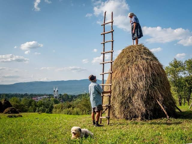 Haystack