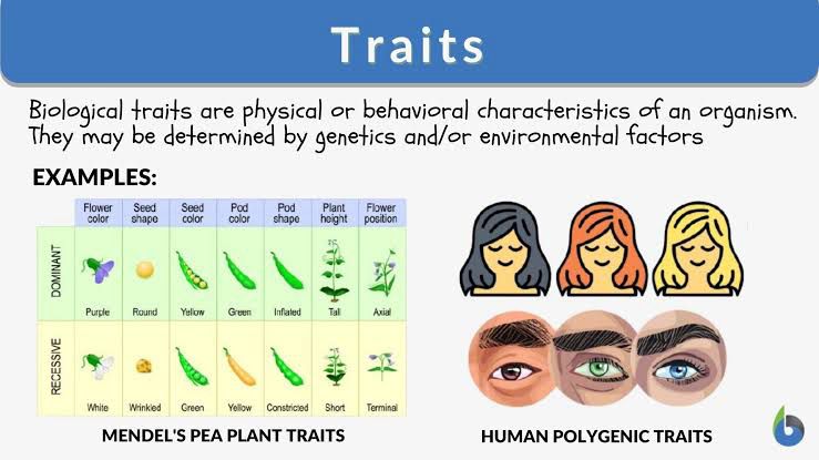 trait