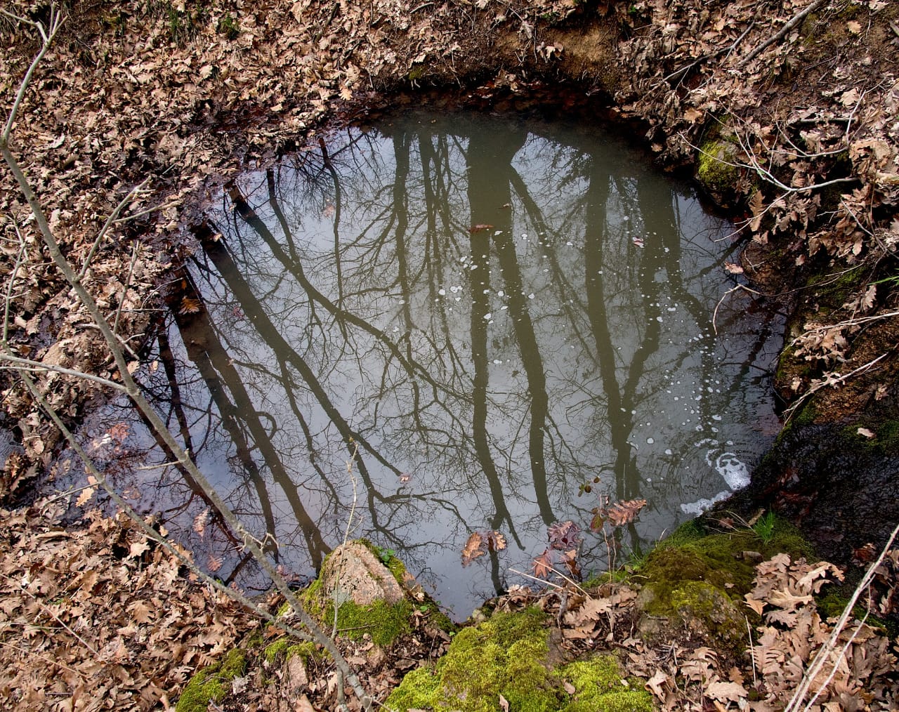 puddle