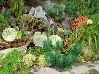 Rockery