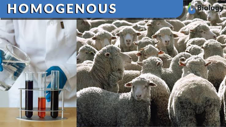 Homogenous