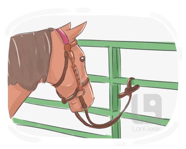 Harness