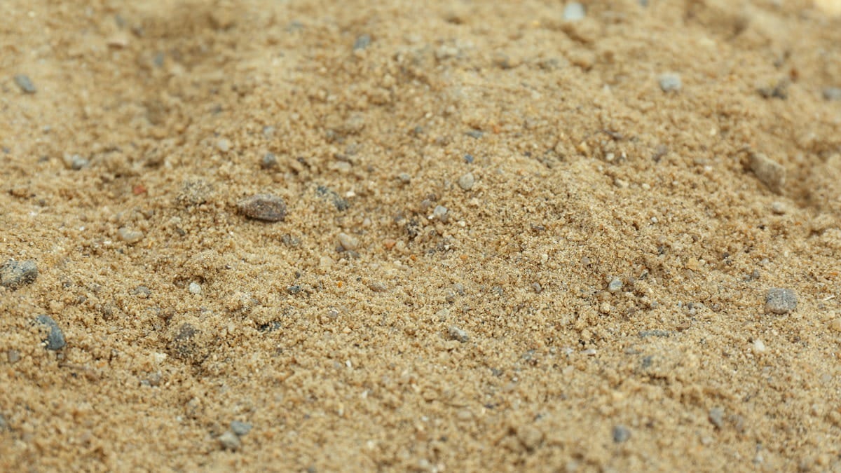 Sandy