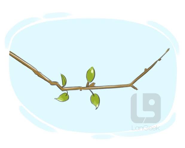 Twig