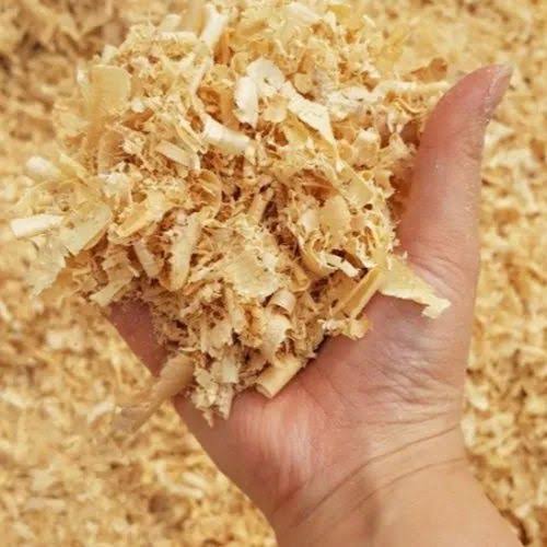 Wood shavings