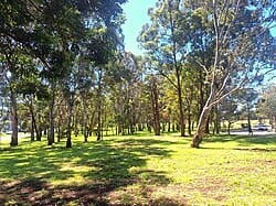 Grove