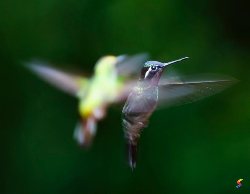 Hover
