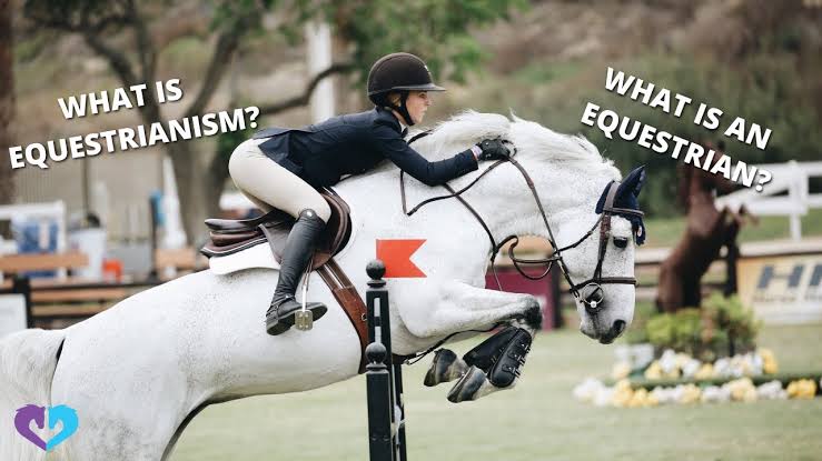 Equestrian