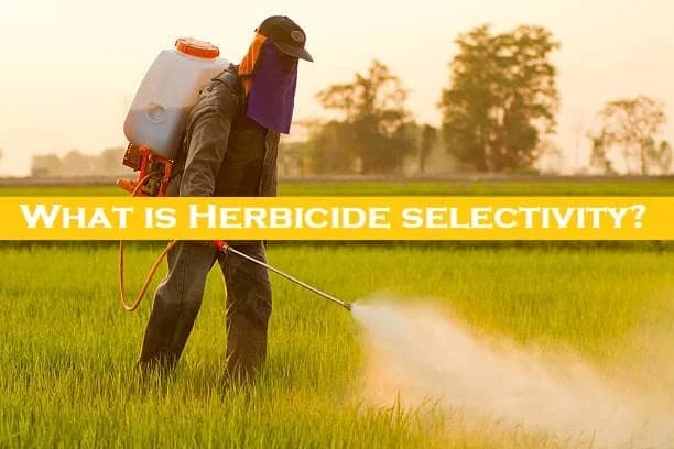 herbicide