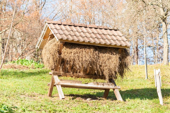 manger