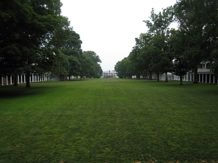 lawn