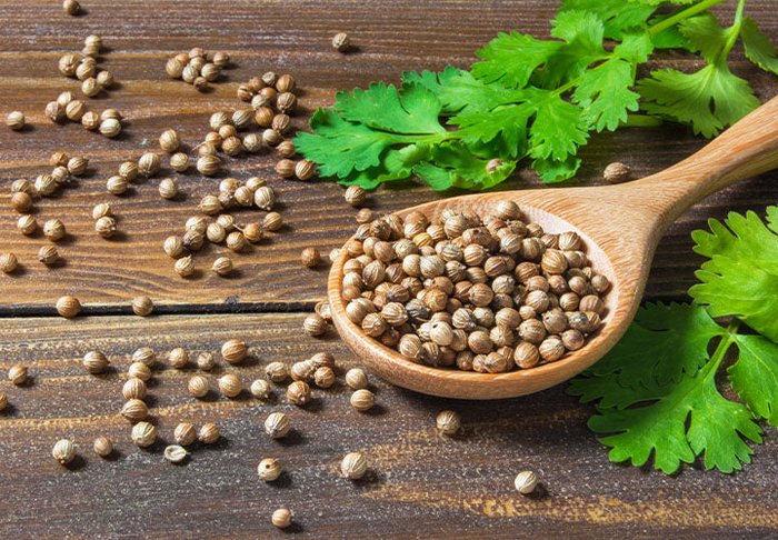 coriander