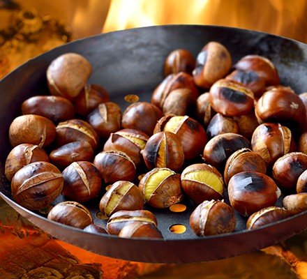chestnut