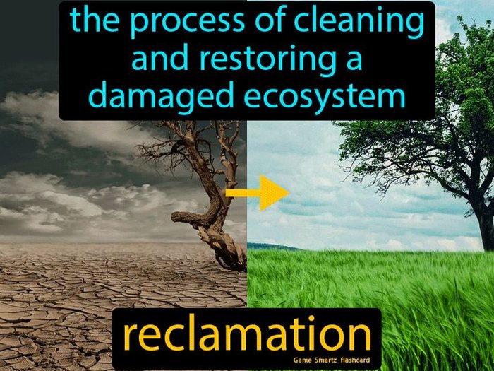 reclamation