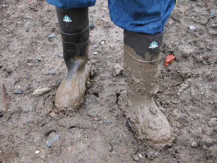 muddy
