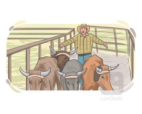 corral