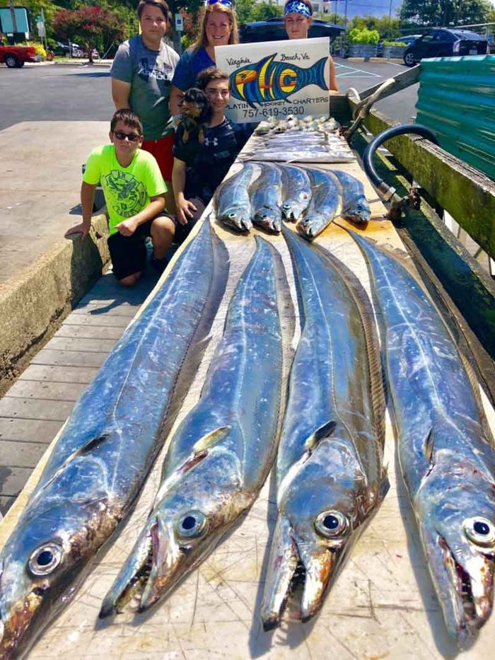 ribbon fish