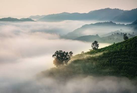 misty