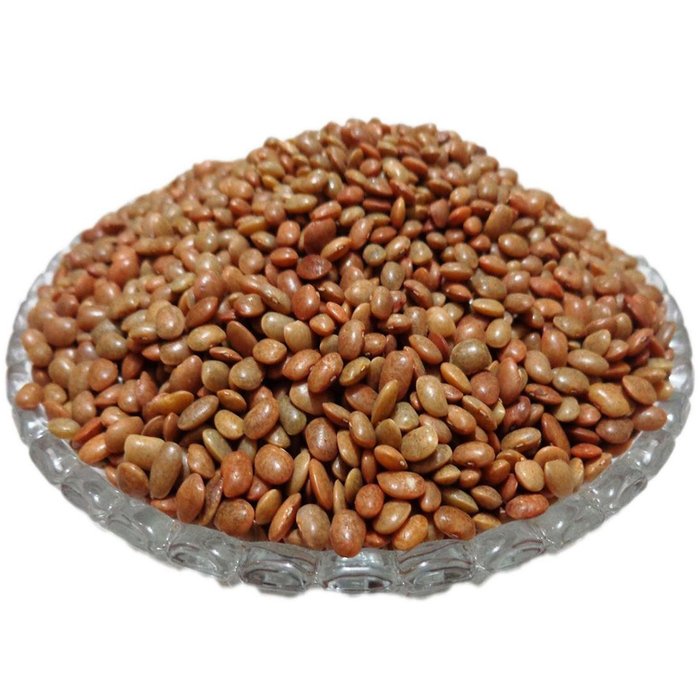 horse gram