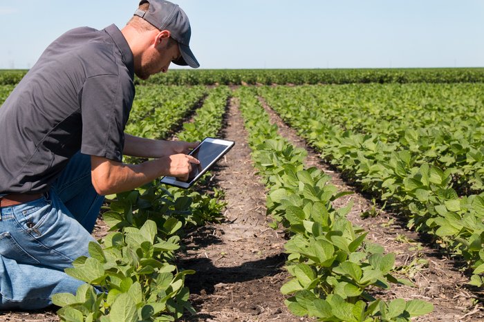 agronomist