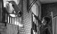Stable boy