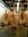 Carcasses