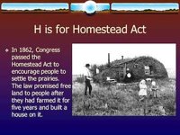 Homestead