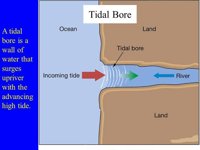 Tide