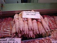 Trotter
