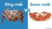 King Crab
