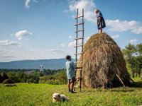 Haystack