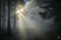 Hazy