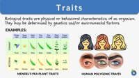 trait