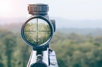 Crosshairs