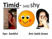 timid