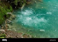 Bubbling Spring