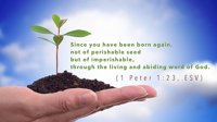 Imperishable