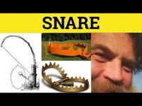 Snare