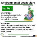 Habitation