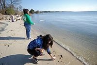 Beachcombing