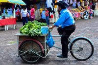 Costermonger