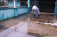 Damp