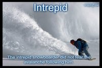 Intrepid