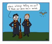 snitch