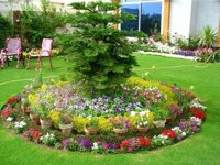 Flower bed