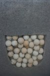 clutch of eggs