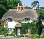 Thatch